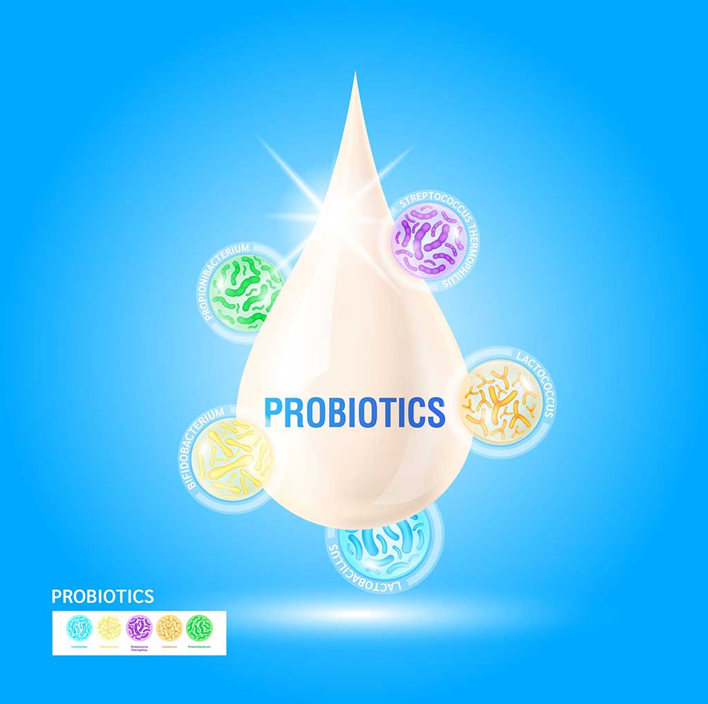 پروبیوتیک دامی و طیوری